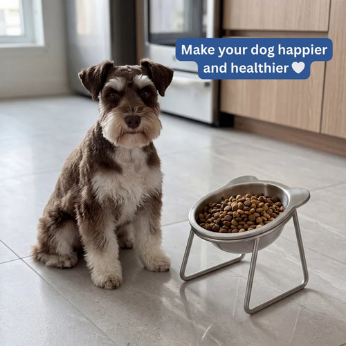 Rosvelta Neutral Neck Orthopedic Dog Feeder for Small Breeds