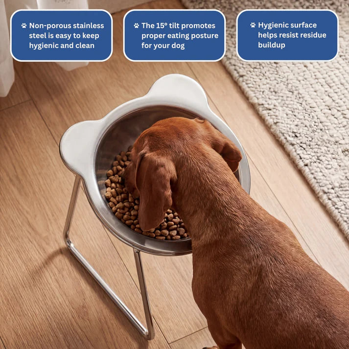 Rosvelta Neutral Neck Orthopedic Dog Feeder for Small Breeds