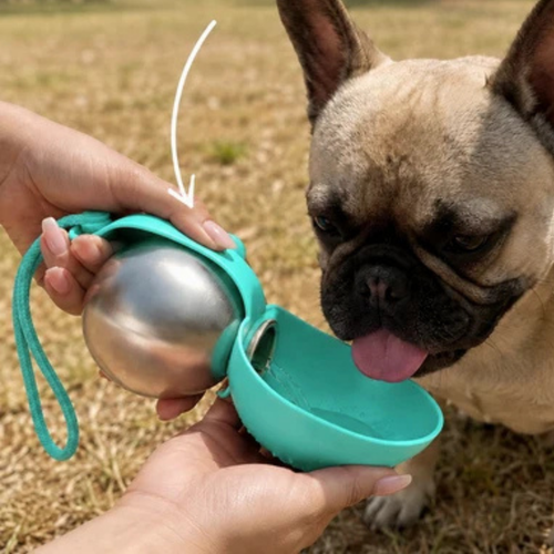 Rosvelta Pet Bottle
