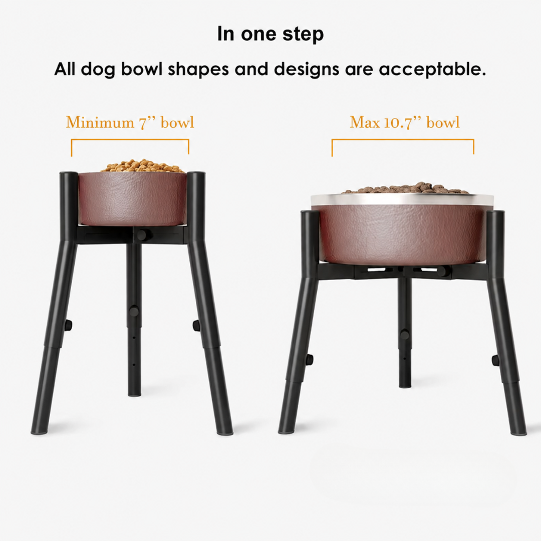 Rosvelta Neutral Neck Orthopedic Bowl Stand For Medium-Large Breeds